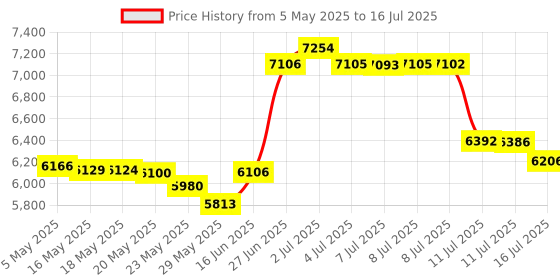 amazon.in Digital Turbine Flow Meter Digital LCD Display with NPT Counter Gas Oil Fuel Flowmeter for Measure Diesel Kerosene Gasoline (1 Inch) Price History Graph from 5 May 2025 to 16 Jul 2025