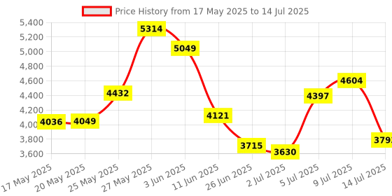 amazon.in Gymkara Squat Wedge Block Cork 2 Pack - Non Slip Heel Elevated Wedge and Calf Raise Block - Slant Board for Squats to Avoid Muscle Strain Price History Graph from 17 May 2025 to 14 Jul 2025