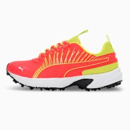 puma Cricket Square Men's Shoes-picture-15