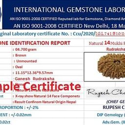 generic SreeGems 7 Mukhi Rudraksha Original Certified by IGL Nepal 7 Face Rudraksha Beads With Silver Capping 7 Mukhi Rudraksha Nepali Saptmukhi Rudraksha Original Blessed by Goddess Laxmi Saat Mukhi Rudraksha 7 Mukhi Rudraksha Pendant image 5