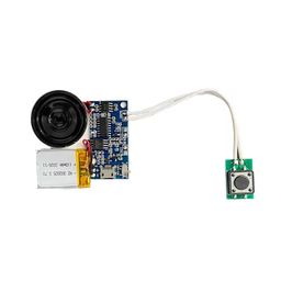 generic USB Programmable Voice Recording Module, 8MB Storage, Push Button Control image 1