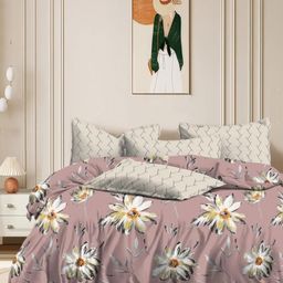 Homio Furnishings Private Limited Denise Peach 250 TC King Bedsheet Set 1.9 m x 1.8 m-image-77