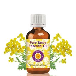 Deve Herbes Pure Tansy Essential Oil Steam Distilled - 5 ml-5