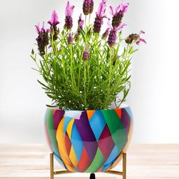 Nymph Reva Home Green & Purple 2 Pieces Flower Planters With Stand-23