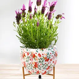 Nymph Reva Home White & Green 2 Pieces Printed Indoor Flower Pot With Stand-image-22