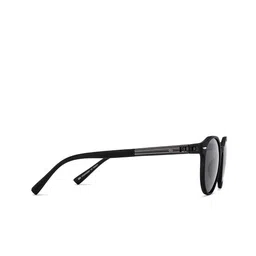 Vincent Chase Unisex Round Sunglasses with Polarised and UV Protected Lens image 4