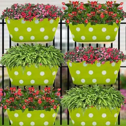 Garden Deco 6 Pieces Green & White Polka Dots Printed Double Hook Metal Planters-57