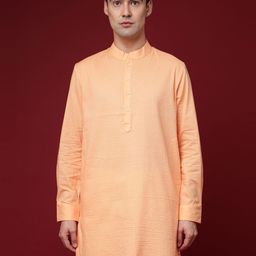 RARE RABBIT Men Nolan Regular Fit Mandarin Pastels Pleated Kurta-picture-33