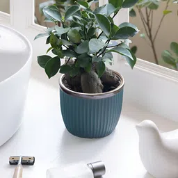 Claymistry Sea Green Textured Ceramic Flower Planter-image-20