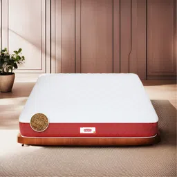 COIRFIT White & Maroon Quilted Coir Orthopedic Single Size Mattress-picture-35