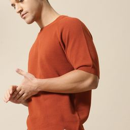 Mr Bowerbird Men Rust-Coloured Solid Tailored Fit Round Neck Sweater Pure Cotton T-shirt-5