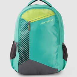 Aristocrat Unisex Turquoise Blue & Charcoal Grey Colourblocked Backpack-image-49