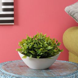 FOLIYAJ Green Artificial Plant With Pot-49