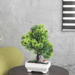 FOLIYAJ Green Artifical 3 Branched Bonsai Tree With White Pot-99