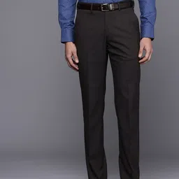 Louis Philippe Men Formal Trousers-picture-32