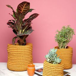 HABERE INDIA Set Of 3 Yellow Woven-Design Rope Planter-image-74