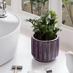 Claymistry Violet Glossy Ceramic Fluted Planters-image-64