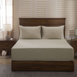 MASPAR Beige Solid Flat 400 TC Egyptian Cotton 1 Queen Bedsheet with 2 Pillow Covers-94