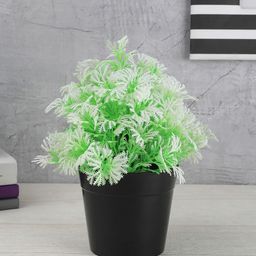 FOLIYAJ Green & White Artificial Plant With Leaves & Black Pot-48