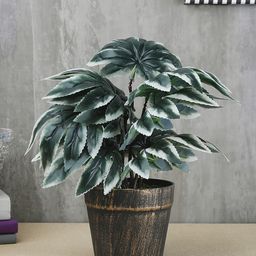 FOLIYAJ Green & White Artificial Maple Leaf Plant With Black Pot-50