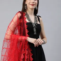 Rani Saahiba Embroidered Thread Work Dupatta-picture-23
