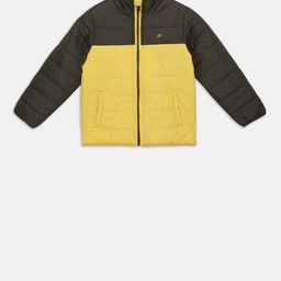 t-base Boys Yellow Colourblocked Lightweight Jacket-image-81