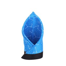 Alvaro Castagnino Blue and Black Printed Pocket Square-image-99