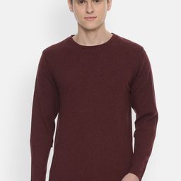 Allen Solly Men Maroon Solid Pullover Sweater-image-111