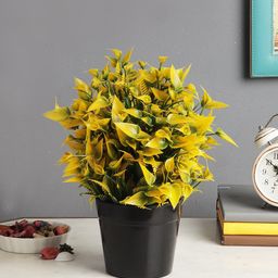 FOLIYAJ Yellow & Green Artificial Plant With Black Pot-5