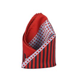 Alvaro Castagnino Red & Grey Printed Pocket Square-image-76