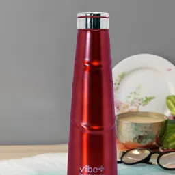Vibe Plus Unisex Red & Silver-Toned Solid Double Wall Stainless Steel Water Bottle 500 ml-58