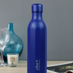 Vibe Plus Unisex Blue Double Wall Stainless Steel Water Bottle 550ml-picture-55