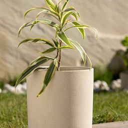 ellementry Cream-Coloured Solid Ceramic Planter-20