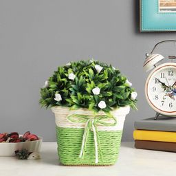 FOLIYAJ Green & White Artificial Thorny Leaves & Small Flowers Plant With Pot-image-7