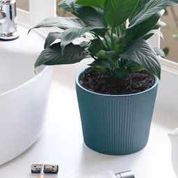 Claymistry Teal-Blue Textured Ceramic Planters-picture-58