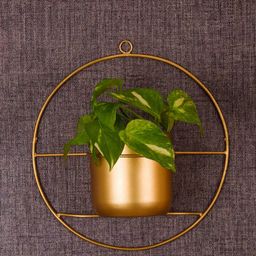 TIED RIBBONS Gold-Toned Solid Metal Wall Mounted Planter-11