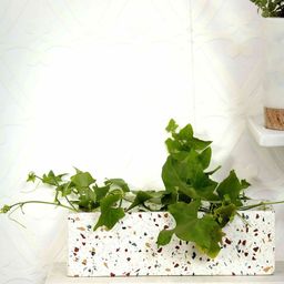 POSH-N-PLUSH White Rectangle Terrazzo Planter-22