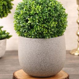 Pure Home and Living Green Artificial Seagrass Ball Plant-20