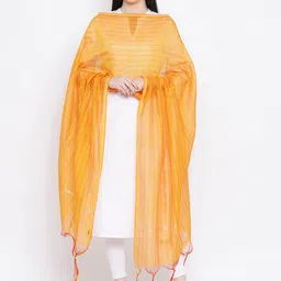 SHINGORA Yellow & Red Striped Dupatta-13
