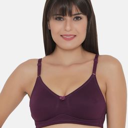Clovia Cotton Non-Padded Non-Wired T-Shirt Bra-image-83