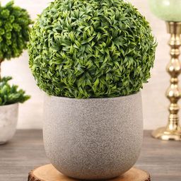 Pure Home and Living Green Artificial Mini Vanilla Ball Plant-17