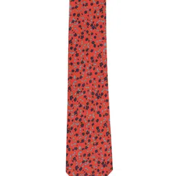 Alvaro Castagnino Men Orange & Blue Printed Broad Tie-image-94
