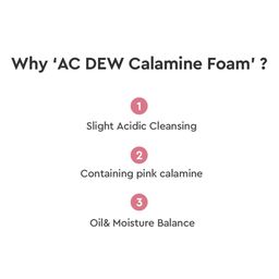 Dewytree The Clean Lab Ac Dew Foam With Lotus Extract - 150ml image 3