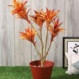 PolliNation Orange Artificial Draceana Plant-picture-53