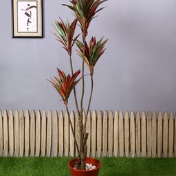 PolliNation Red Green Artificial Draceana Plant-picture-14