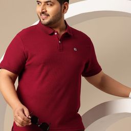 Sztori Plus Size Regular Fit Polo Collar T-shirt-picture-10