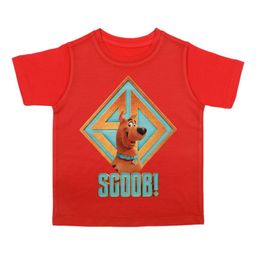 Scooby-Doo Boys Red & Green Printed Round Neck T-shirt-picture-11