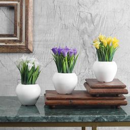 FOLIYAJ Set Of 3 Artificial Mini Plant With Pot-16