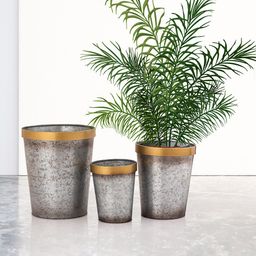 Aapno Rajasthan Set of 3 Grey Brass Strip Metal Planters-19