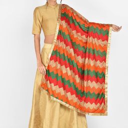 Dupatta Bazaar Multicoloured Embroidered Dupatta-5